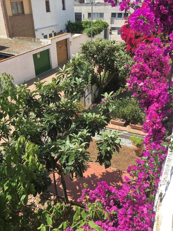 Casa Completa en Palamós Costa Brava Unifamiliar 3 BDRM 6 Pers Garage - 3