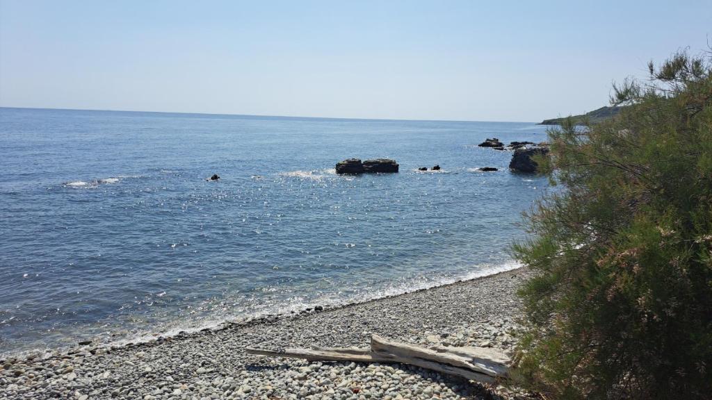 Sylvan Seas, Ventnor