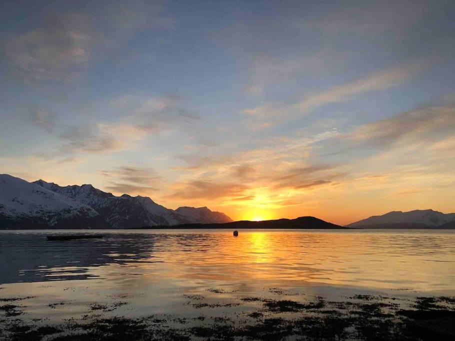 Cabin with mountain and ocean view in lyngen