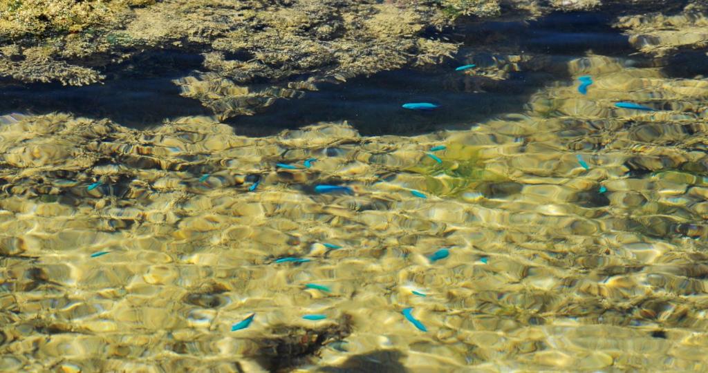 Surrounding environment