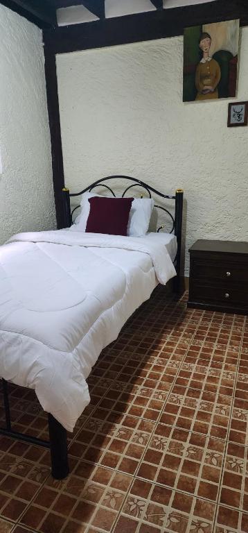 Cozy Nest CNX, Čiang Mai