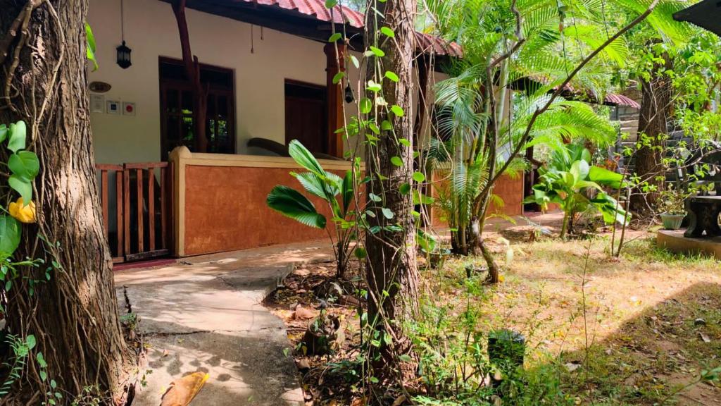 シシラ ナチュラル ロッジ (Sisira Natural Lodge) 外観