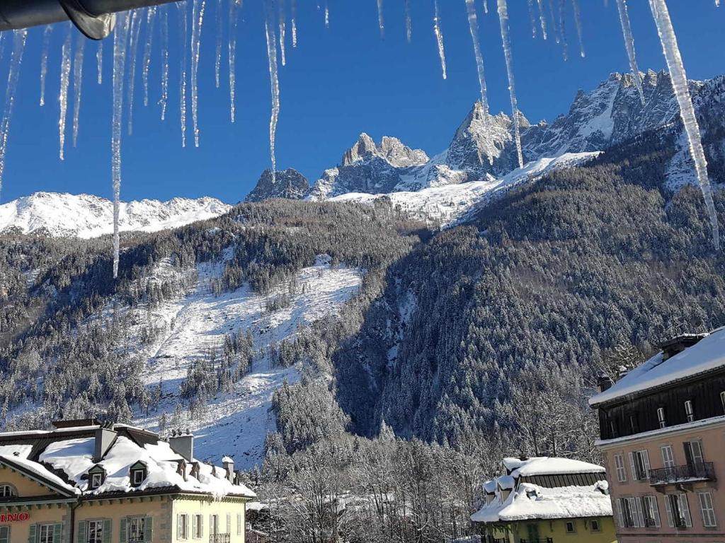 Magnifique appartement centre-ville - Animaux admis, WiFi - FR-1-517-37 - 5