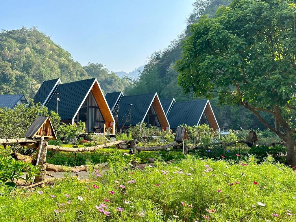 Vườn An nhiên Mộc Châu Vườn An nhiên Mộc Châu