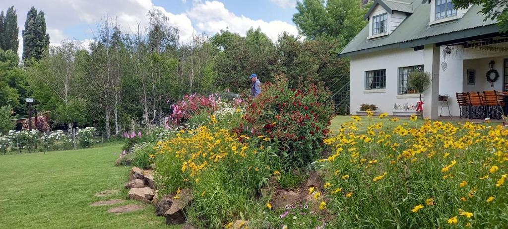 Hillside Cottage photo