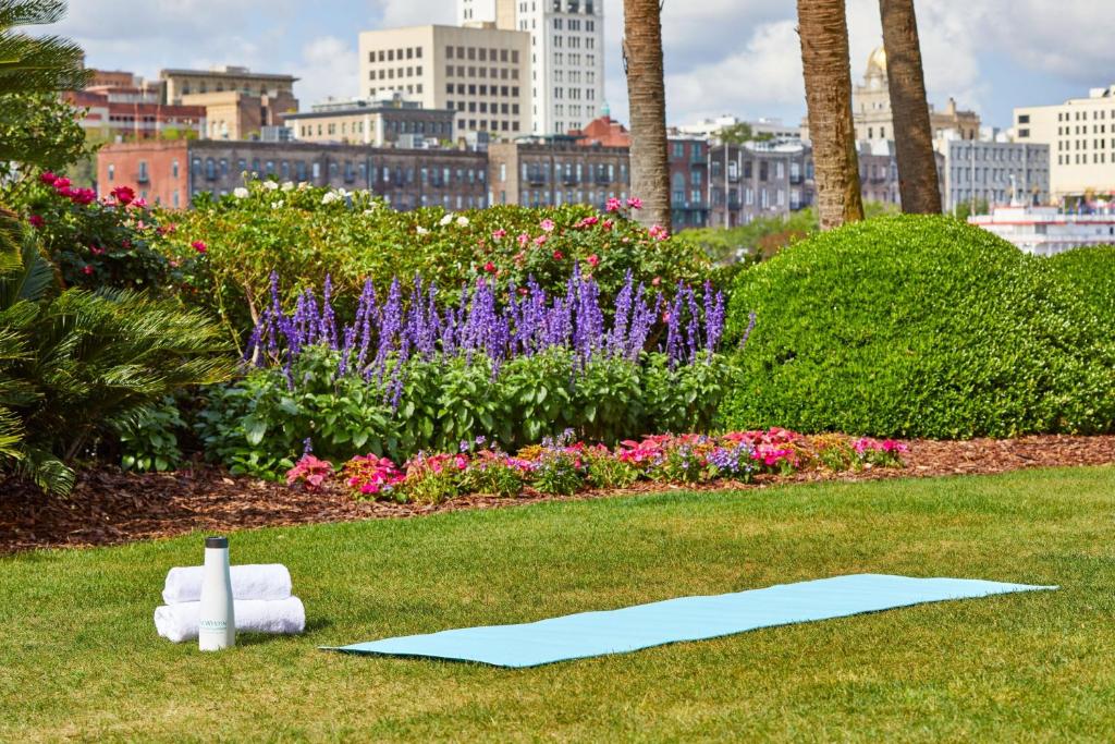 フィットネス/ジム