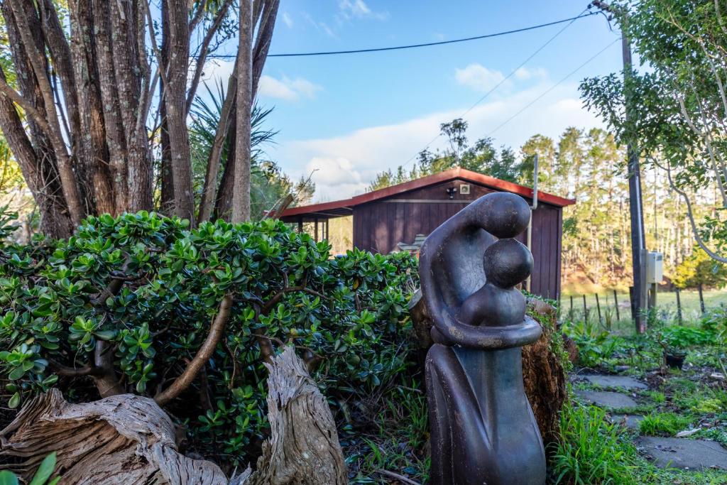 Country Nirvana, Pataua