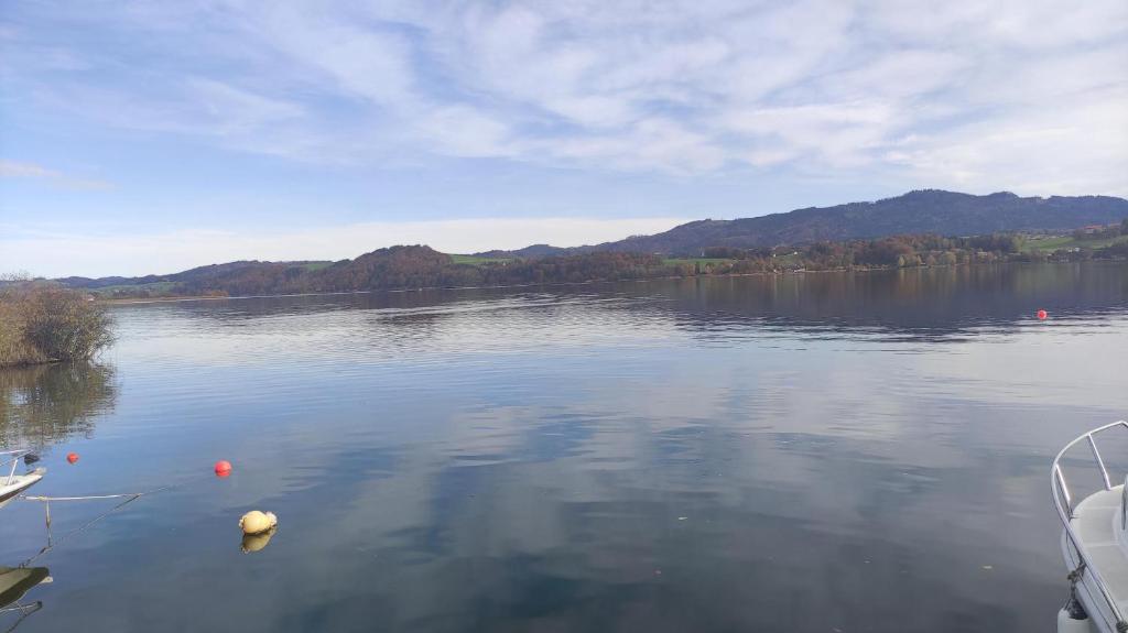 Glamping Wallersee - Unter dem Kastanienbaum - 4
