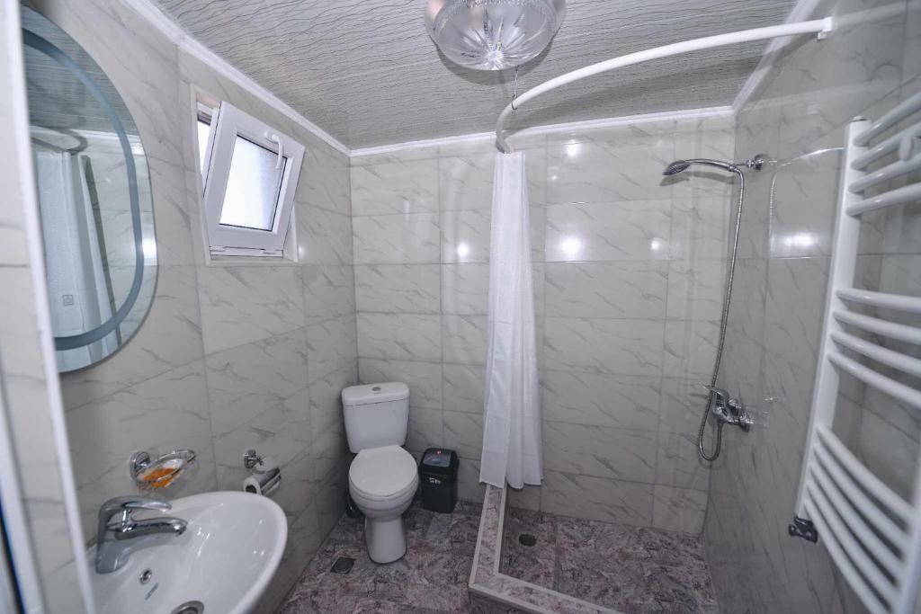 HOTEL VLADi photo