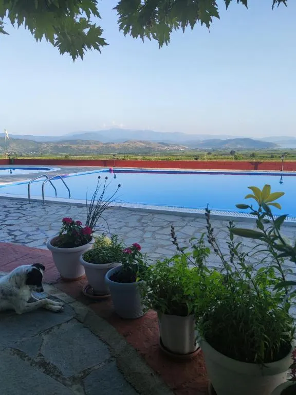 ΠΕΡΙ ΑΝΕΜΩΝ, hotel in Zérvi