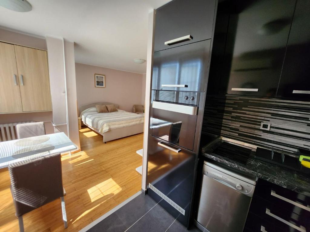 Morning Wood - Panorama - 4