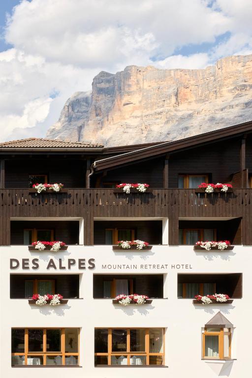 Hotel Des Alpes - 3