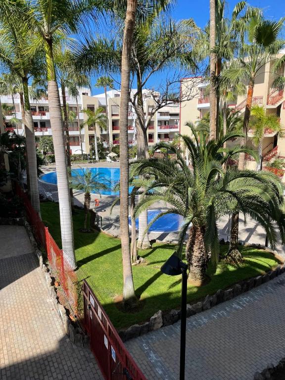 El Bohemia, Palm-mar