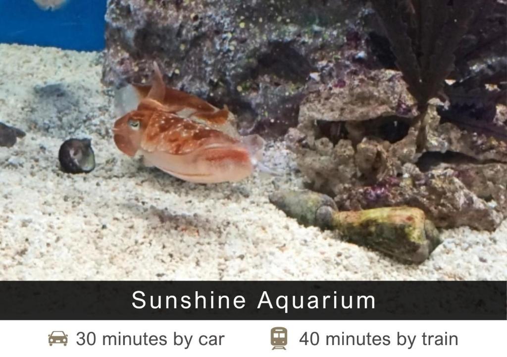 Nearby attraction