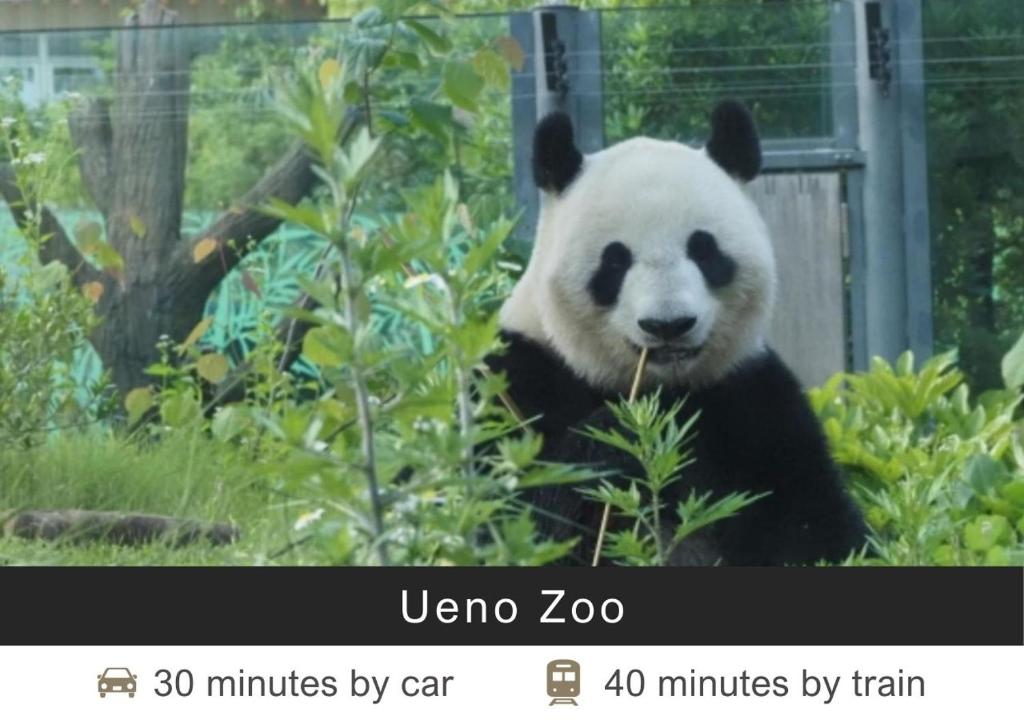 Nearby attraction