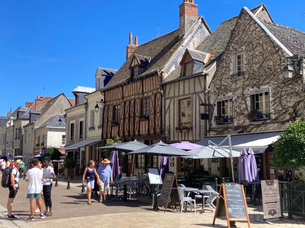 L'Amboisienne, Au pays des châteaux - 4