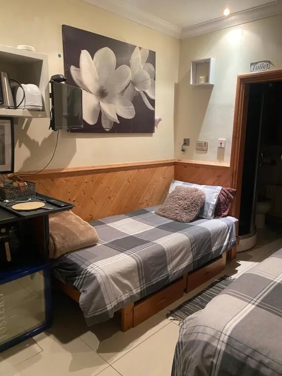 Big Home in London, Forest Hill，位于伦敦的酒店