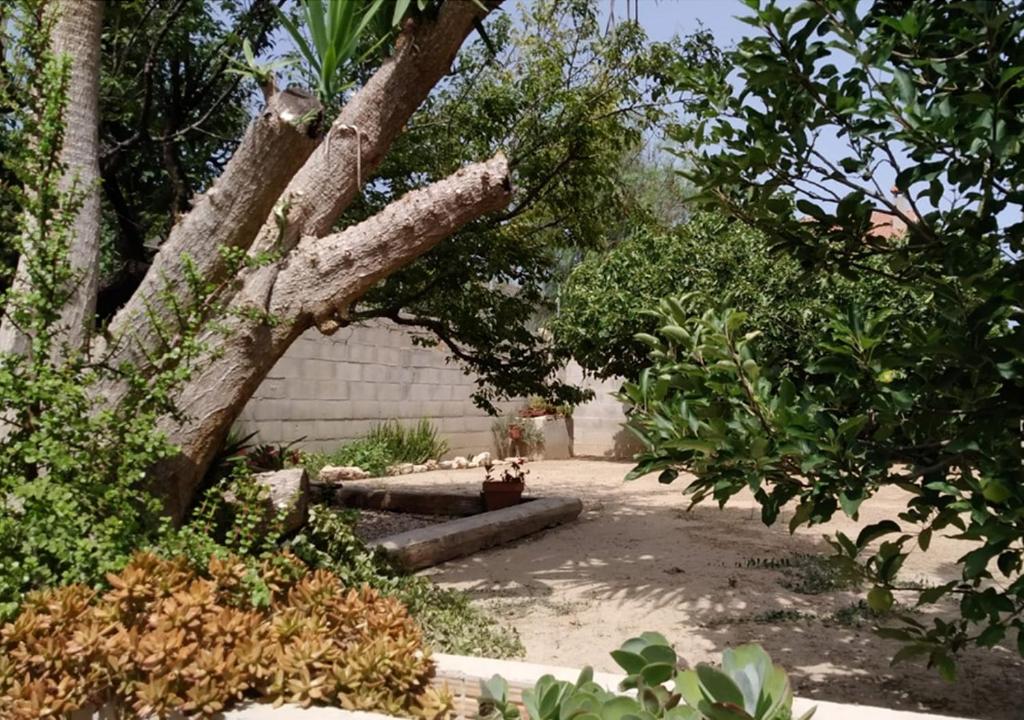 Casa Lo Fangar - Deltebre - 3