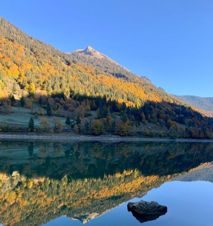 Surrounding environment