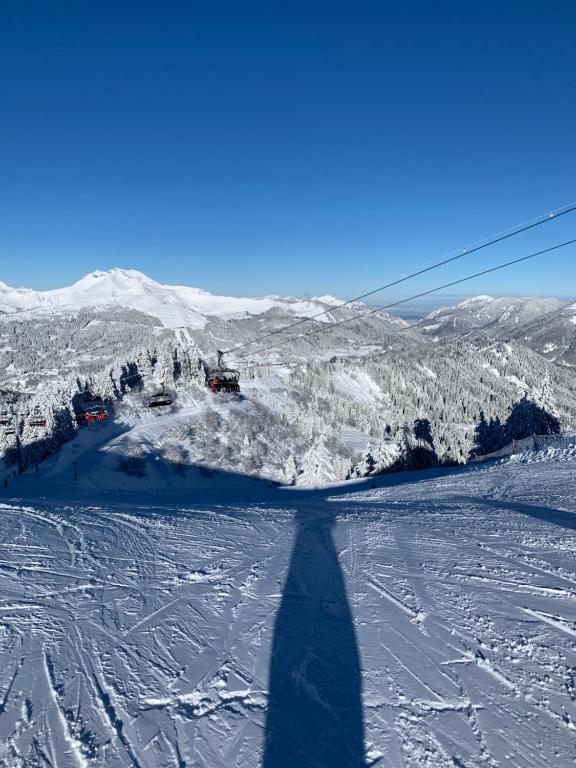 Sports and activities