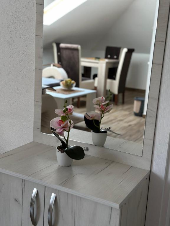 Apartmani Zvezdana - 2