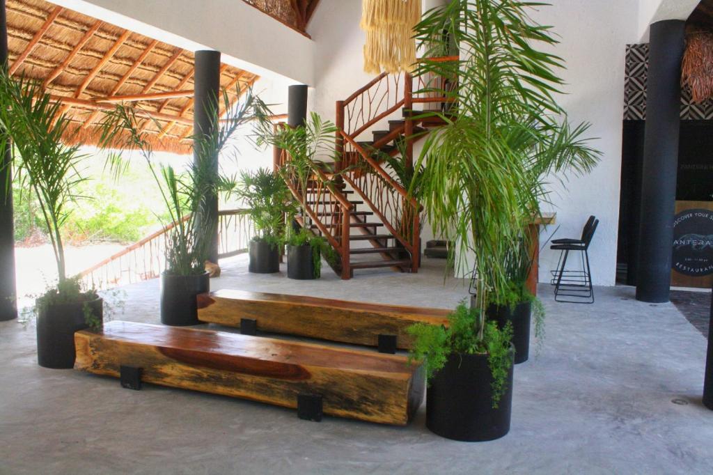 Hotel Casa HX - Adults Only photo