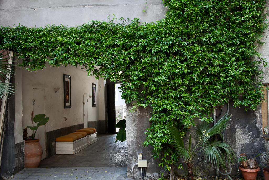 Alcala Living Apartments
