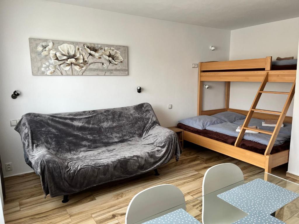 Apartmany Sumavska photo