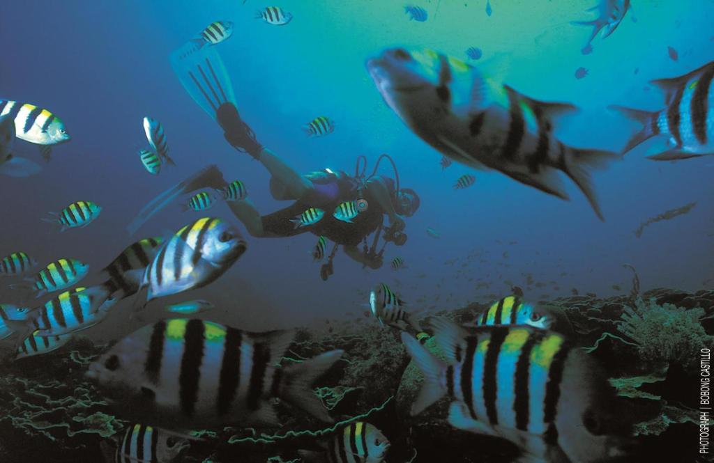 Sports and activities