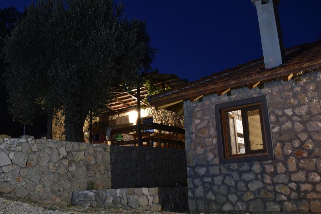 Hidden Olive Oasis - 3