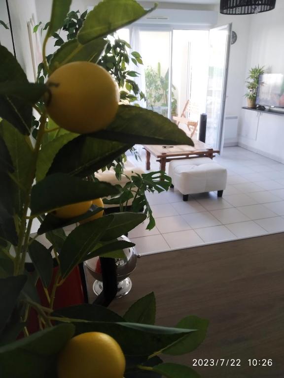 A Poitiers, 2 chambres, très bel appartement de 65 m2 - 4