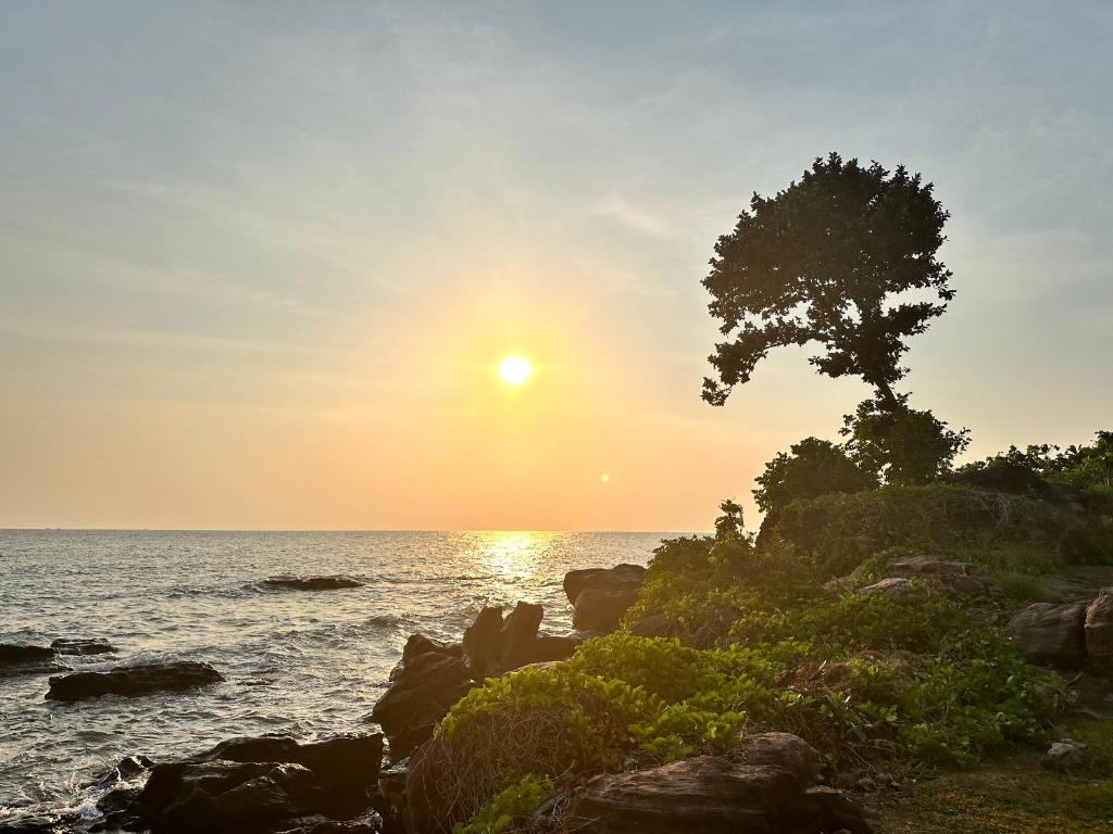 Surrounding environment