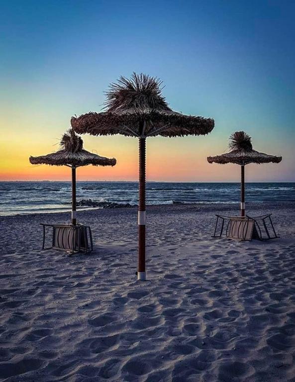 Seaside-Strandhotel photo