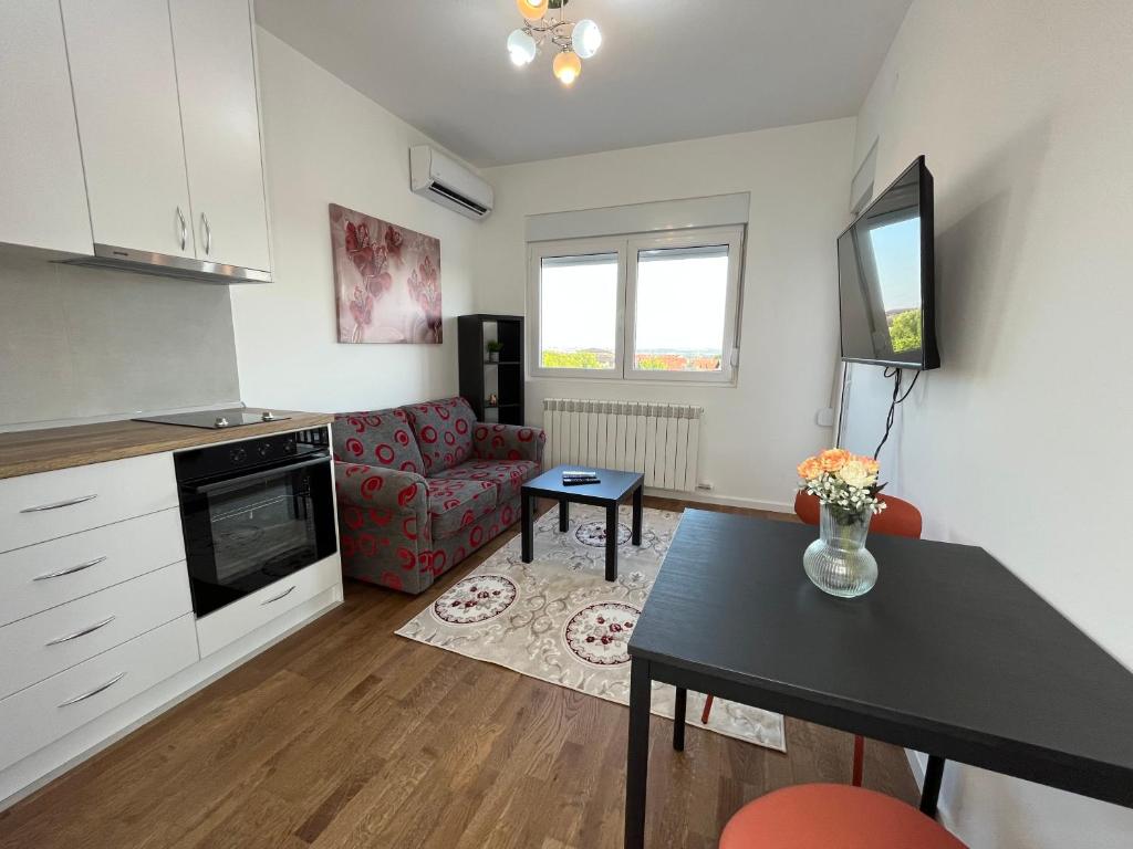 NBG SKY VIEW Apartments - 2