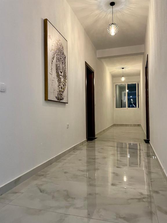 Bora Lindi Ulcinj apartments - 3