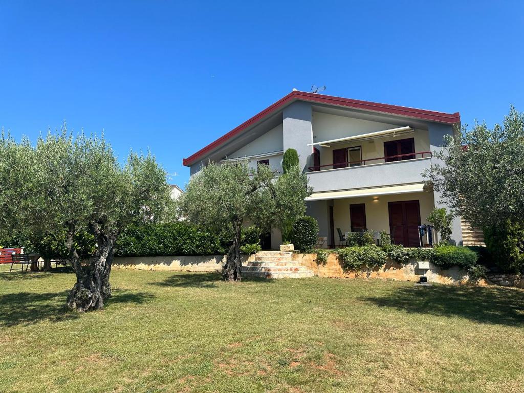 App Trinodis photo