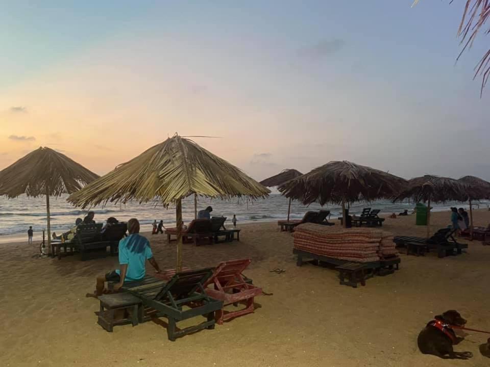 The Amrit Goa photo