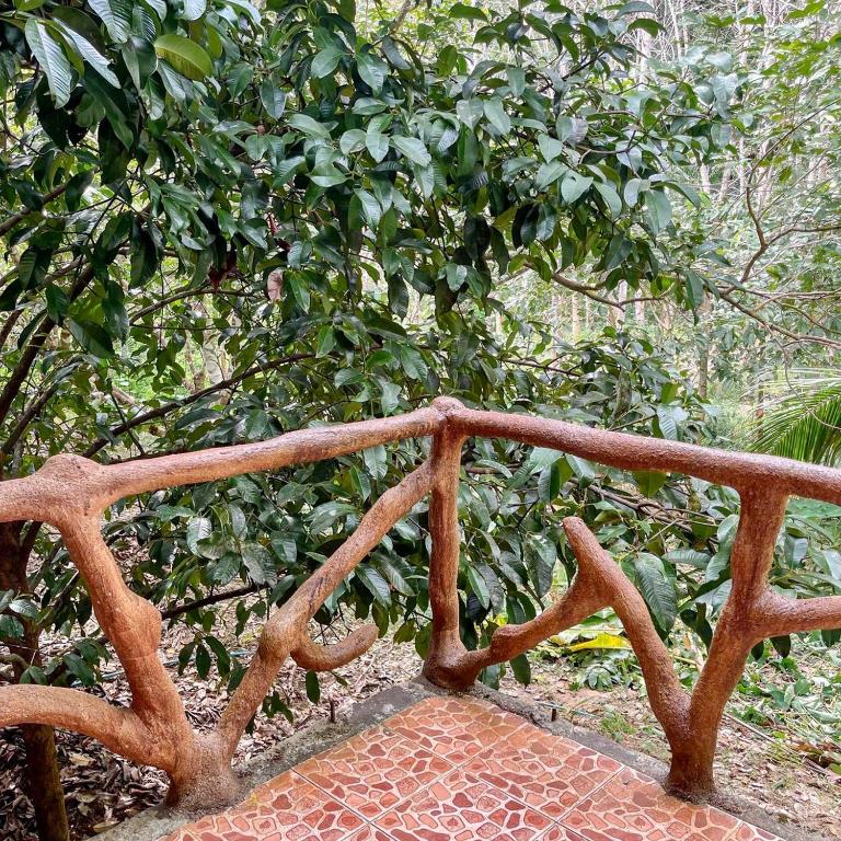 Surrounding environment