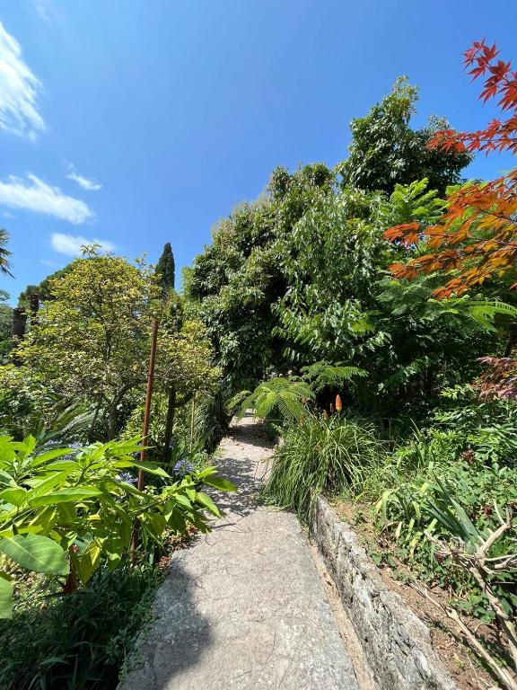 Bamboo apartment 1 Herceg Novi - 5