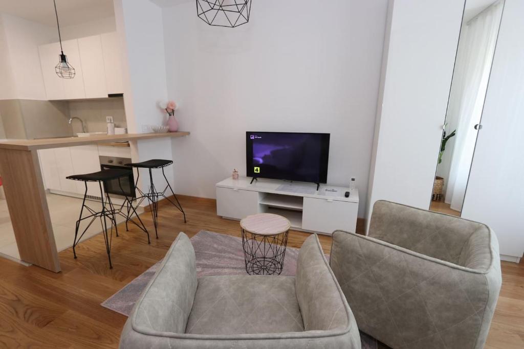 Savada PINK - studio with parking and WiFi, parking 5 eur per day - 1