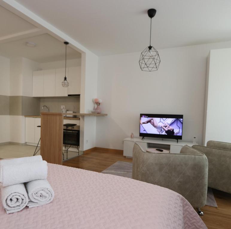 Savada PINK - studio with parking and WiFi, parking 5 eur per day - 4