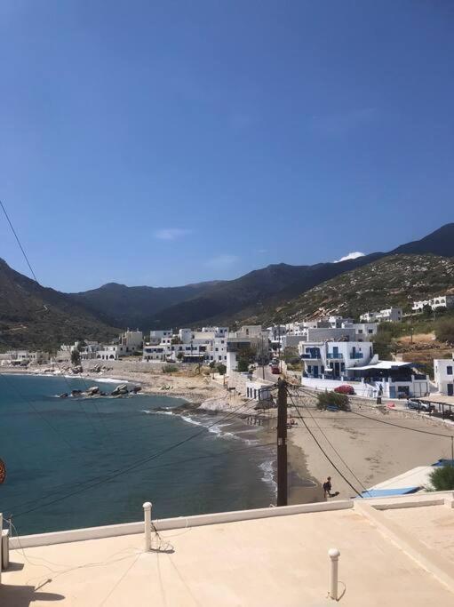 Ảnh 5