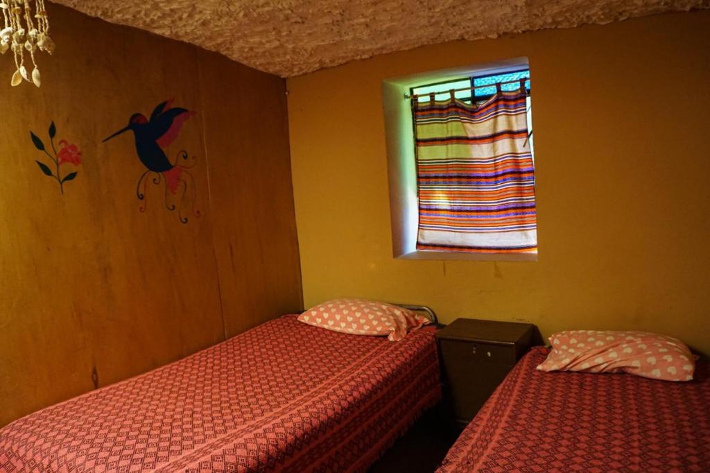 Tony's House Eco Hostel photo