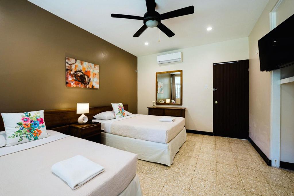 Hotel Diria Santa Cruz photo