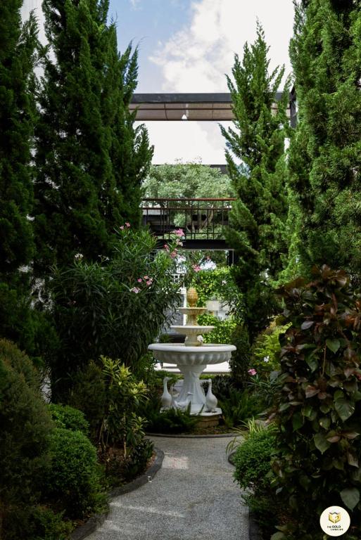 Surrounding environment