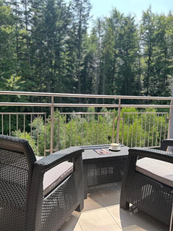 Hotel Krynica Conference & SPA photo