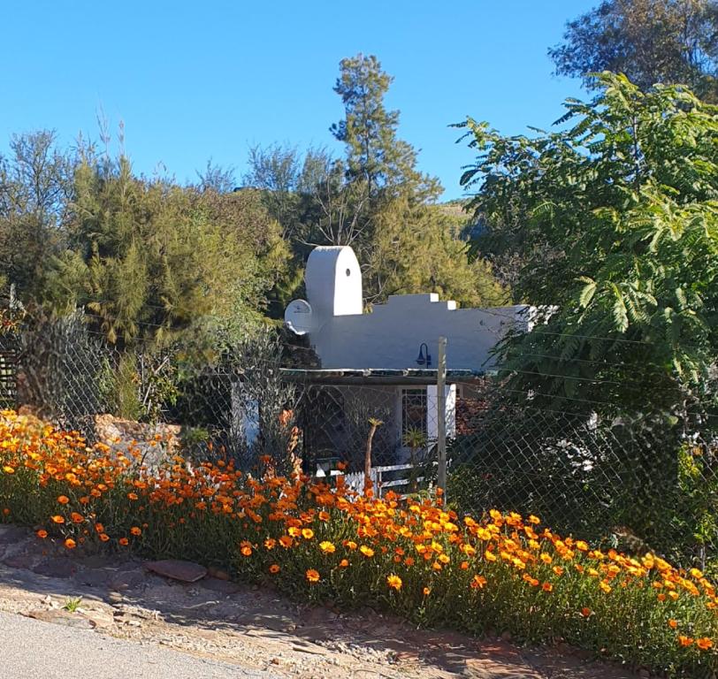 Wild Geranium Cottage