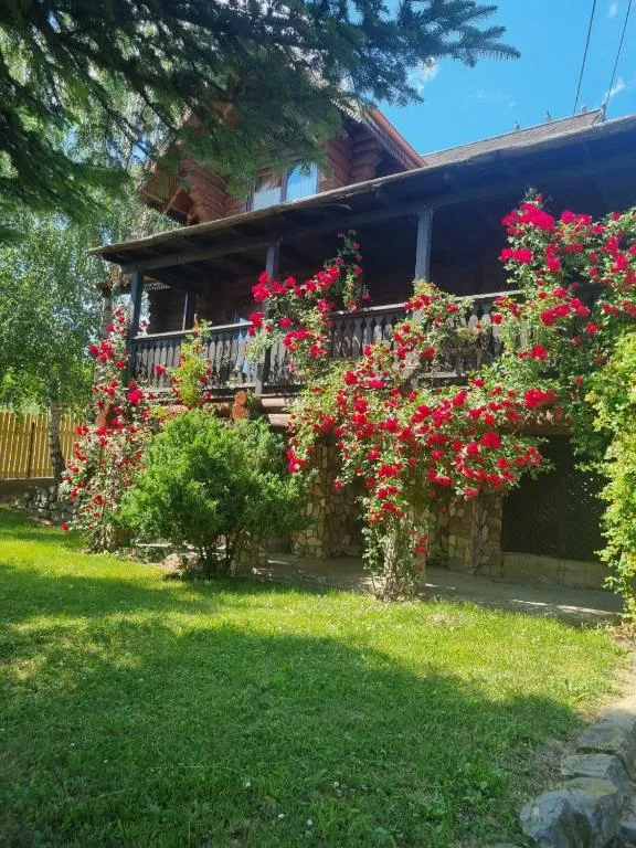 Cabana Haiducului, hotel v destinaci Soveja