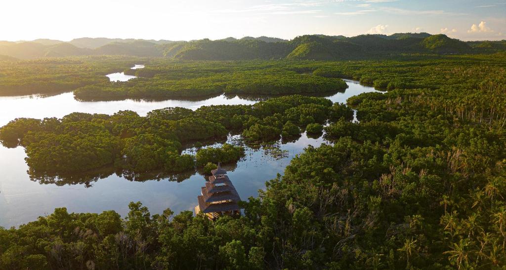 Surrounding environment