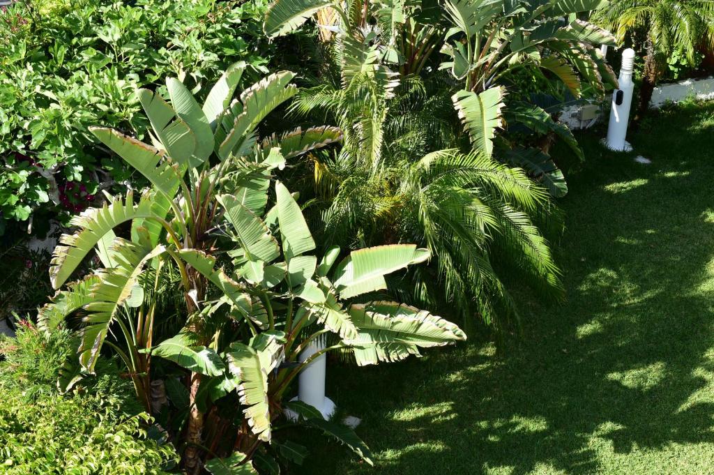 Apartment Hotel TABOGA — Hotel building in Playa del Ingles, Canary Islands